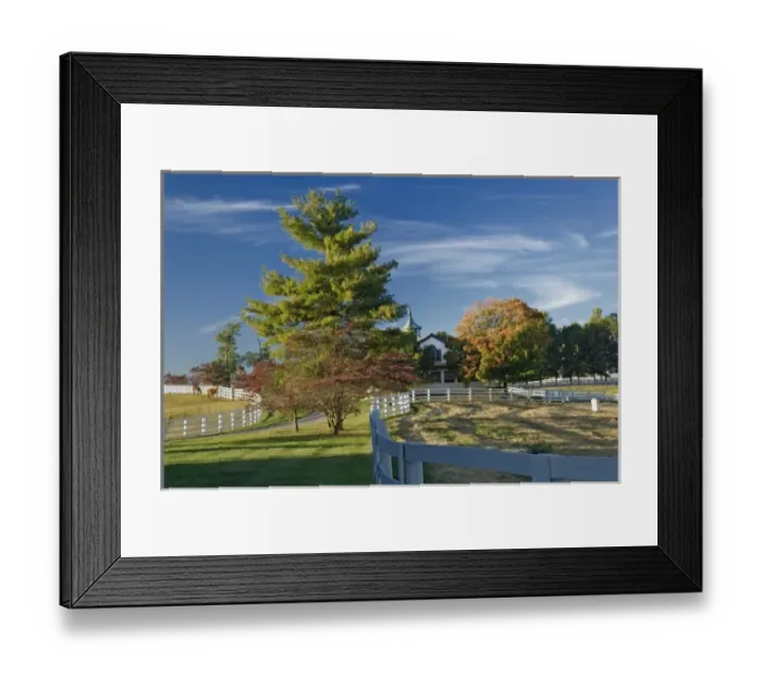 Framed Print : Manchester Horse farm in autumn, Lexington, Kentucky Framed Print : Manchester Horse farm in autumn, Lexington, Kentucky