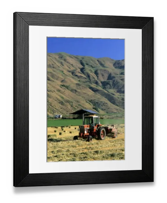 Framed Print : Oat hay harvest in Idaho