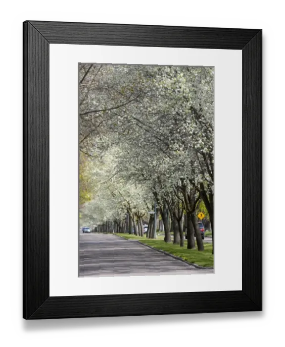 Framed Print : USA, North America, Idaho Framed Print : USA, North America, Idaho