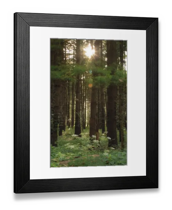 Framed Print : USA, North America, Indiana Framed Print : USA, North America, Indiana