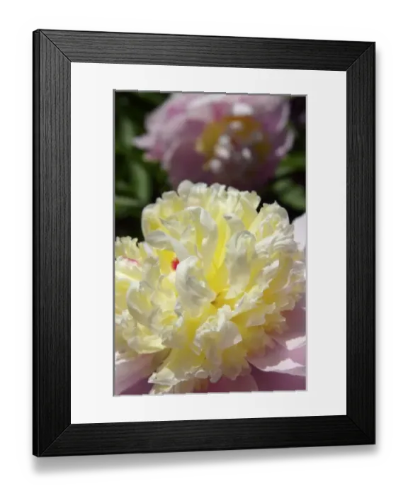 Framed Print : USA, North America, Massachusetts Framed Print : USA, North America, Massachusetts