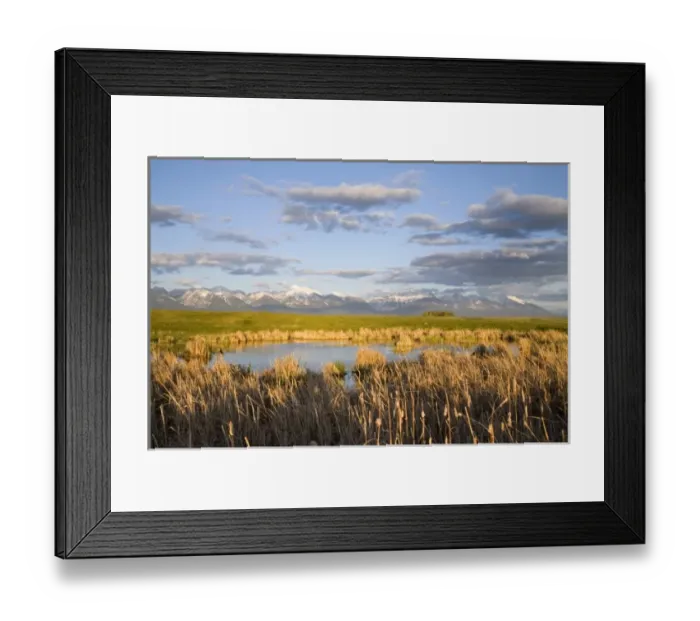 Framed Print : USA, North America, Montana
