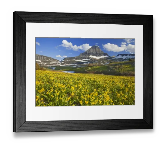 Framed Print : USA, North America, Montana