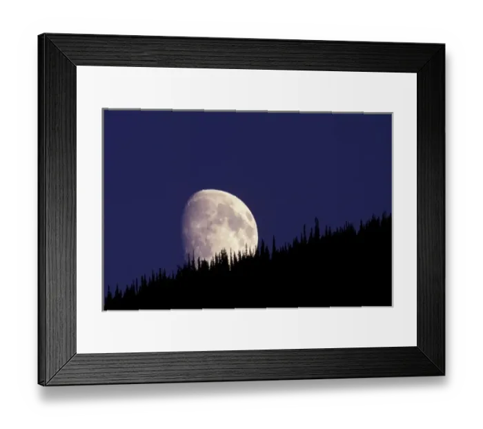 Framed Print : North America, USA, Montana, Glacier National Park. Moon and forest Framed Print : North America, USA, Montana, Glacier National Park. Moon and forest