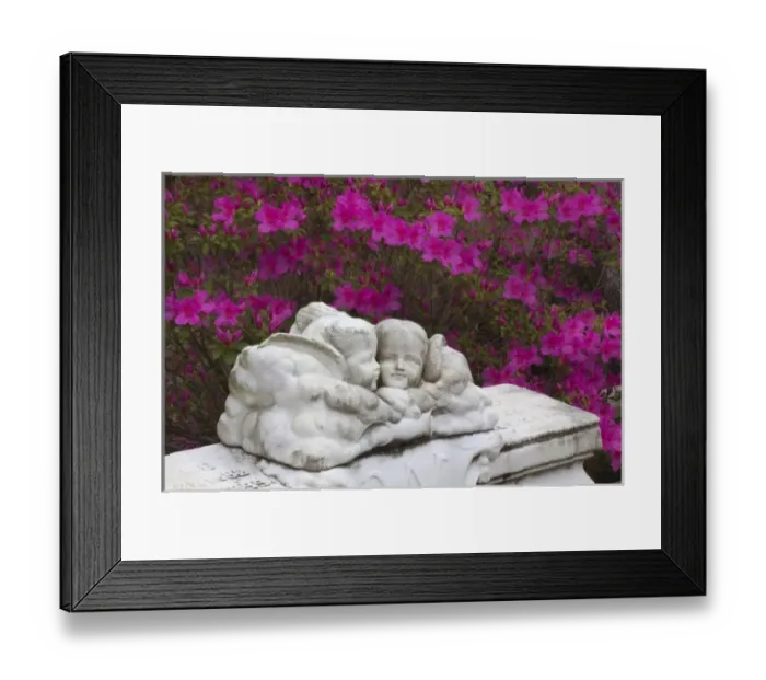 Framed Print : Bonaventure Cemetery, Savannah, Georgia, USA