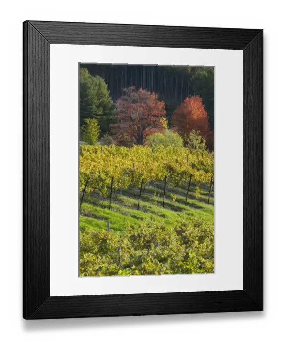 Framed Print : USA, North America, Michigan Framed Print : USA, North America, Michigan
