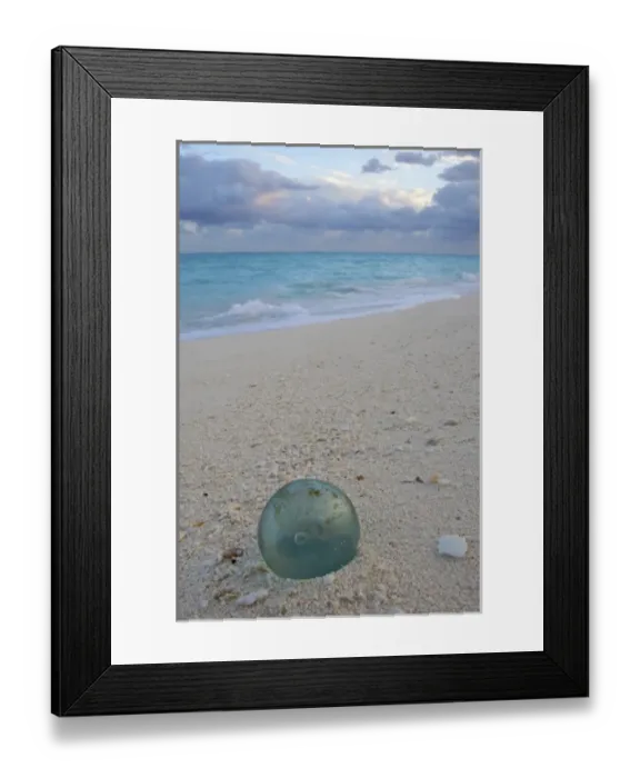 Framed Print : North America, Northwestern Hawaiian Islands, Midway Atoll. Japanese glass fishing float on a beach