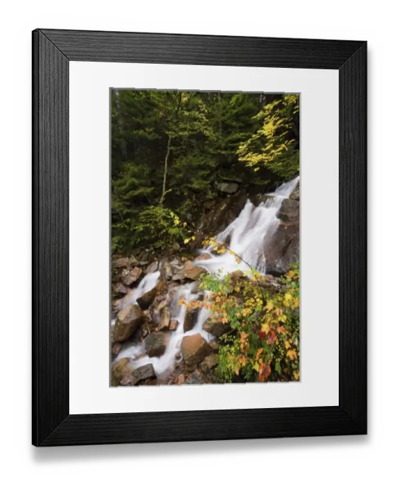 Framed Print : USA, North America, Maine Framed Print : USA, North America, Maine