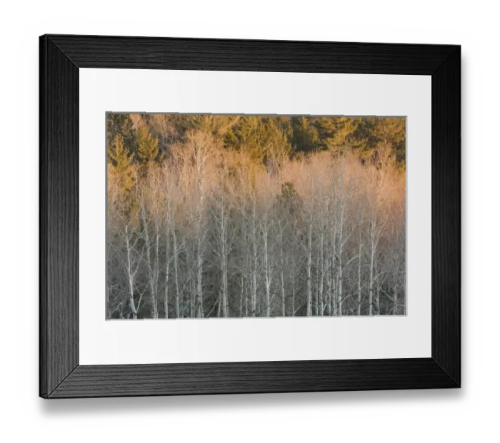 Framed Print : USA, North America, Minnesota Framed Print : USA, North America, Minnesota