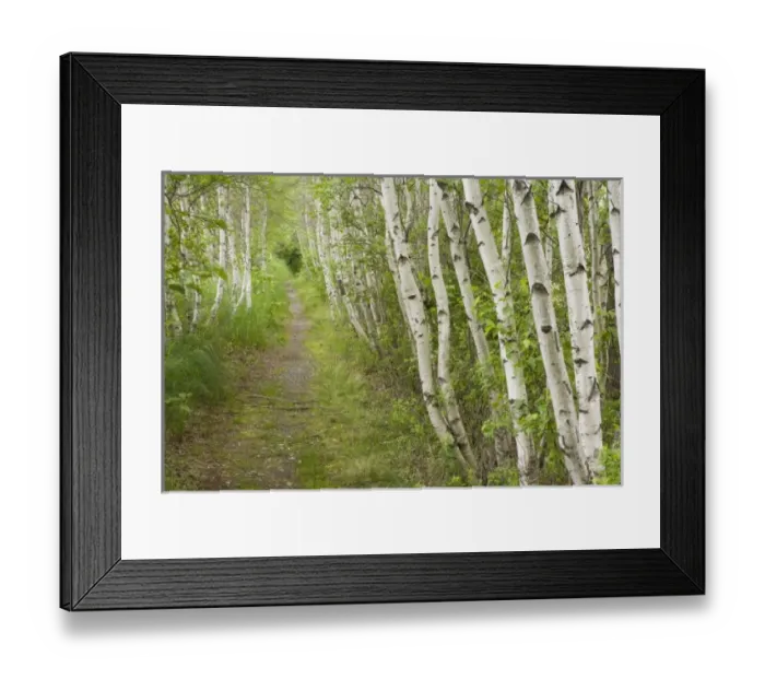 Framed Print : USA, North America, Maine Framed Print : USA, North America, Maine