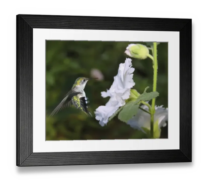 Framed Print : USA, North America, Indiana