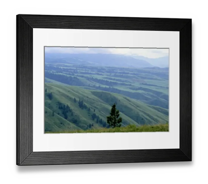 Framed Print : A view of White bird Hill in the Nez Perce National Historical Park. Palouse country in North Idaho Framed Print : A view of White bird Hill in the Nez Perce National Historical Park. Palouse country in North Idaho