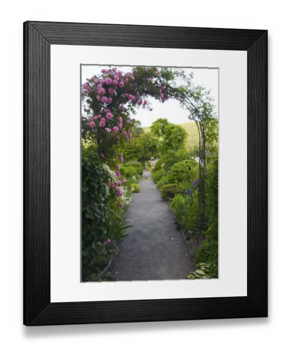 Framed Print : USA, North America, Massachusetts Framed Print : USA, North America, Massachusetts