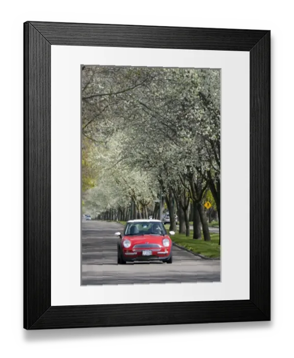 Framed Print : USA, North America, Idaho