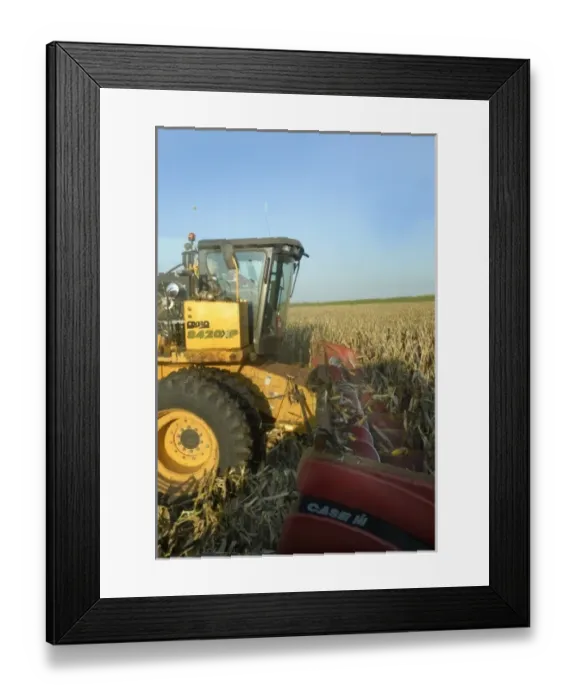 Framed Print : USA, North America, Missouri Framed Print : USA, North America, Missouri