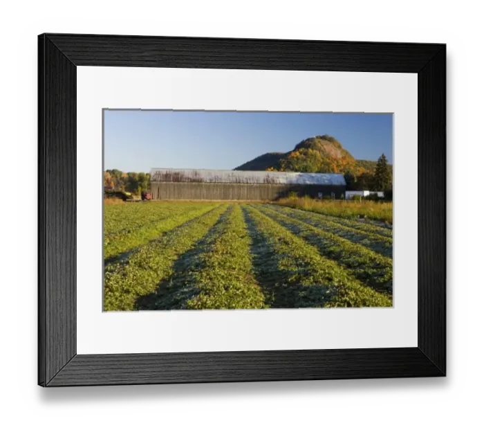 Framed Print : USA, North America, Massachusetts