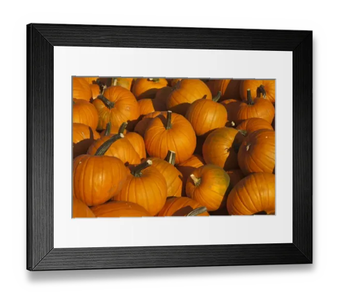 Framed Print : Wagon laod of ripe pumpkins in the Flathead Valley near Kalispell, Montana, USA Framed Print : Wagon laod of ripe pumpkins in the Flathead Valley near Kalispell, Montana, USA