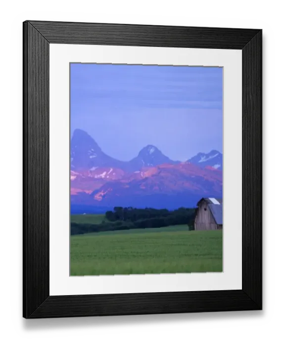 Framed Print : Rustic barn sits in green wheat field while Teton Mountain Range catches dramatic Framed Print : Rustic barn sits in green wheat field while Teton Mountain Range catches dramatic