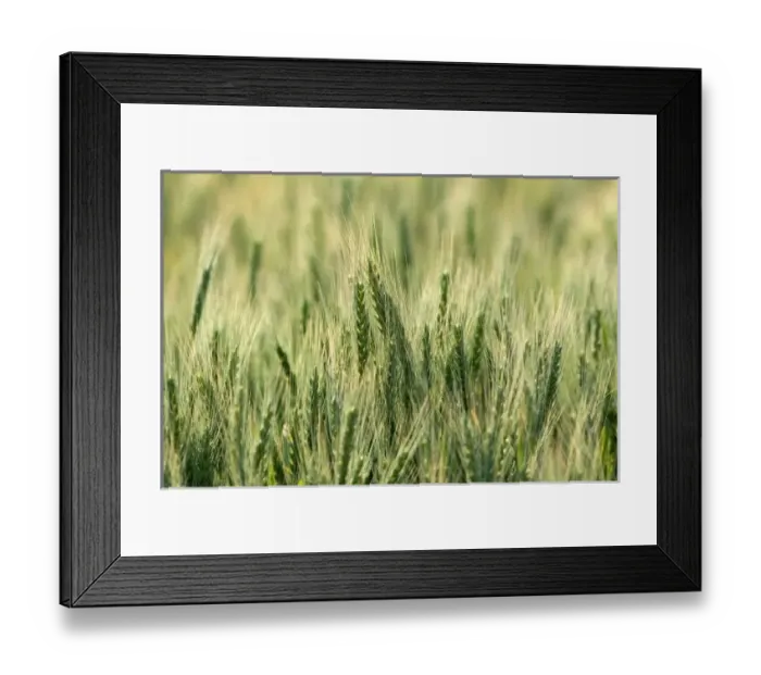 Framed Print : USA, North America, Idaho Framed Print : USA, North America, Idaho