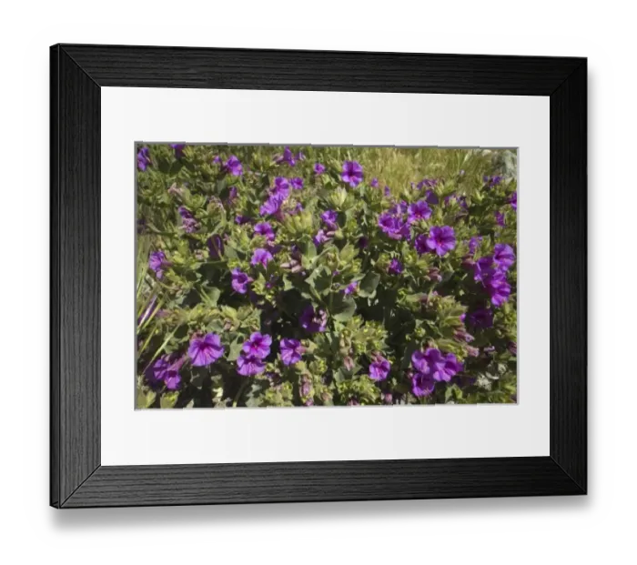 Framed Print : USA, North America, Nevada Framed Print : USA, North America, Nevada