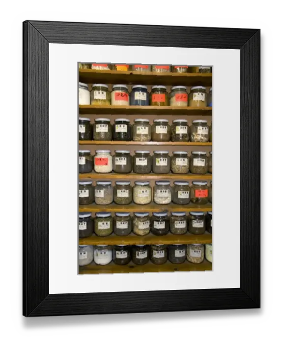 Framed Print : Chinese herbal shop in Chinatown, Chicago, Illinois Framed Print : Chinese herbal shop in Chinatown, Chicago, Illinois