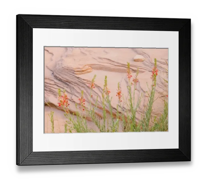 Framed Print : USA, North America, Nevada