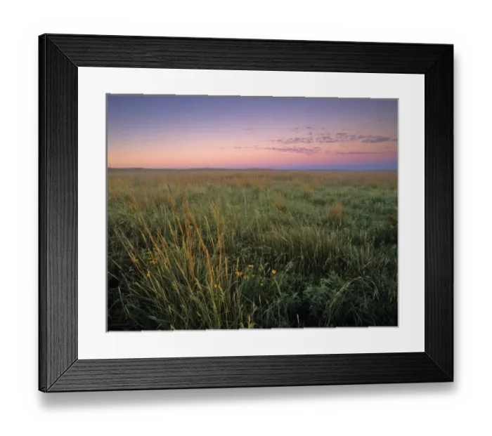 Framed Print : Mixed grass prairie at dawn at Fort Niobrara National Wildlife Refuge in Valentine