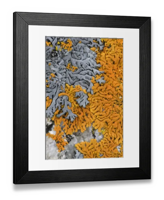 Framed Print : USA, North America, Minnesota