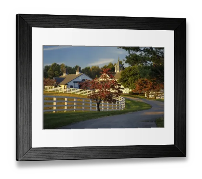 Framed Print : Manchester Horse farm in autumn, Lexington, Kentucky Framed Print : Manchester Horse farm in autumn, Lexington, Kentucky