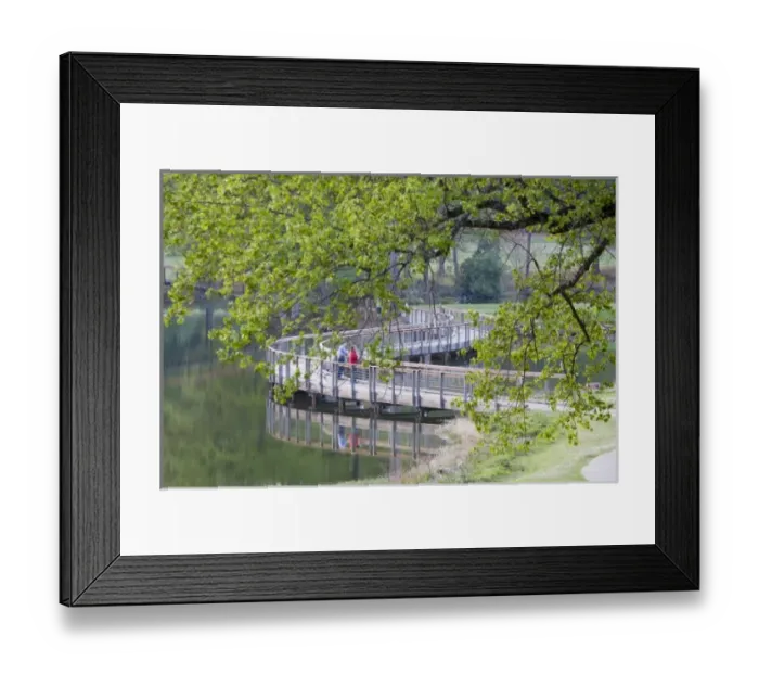 Framed Print : USA, North America, Georgia Framed Print : USA, North America, Georgia