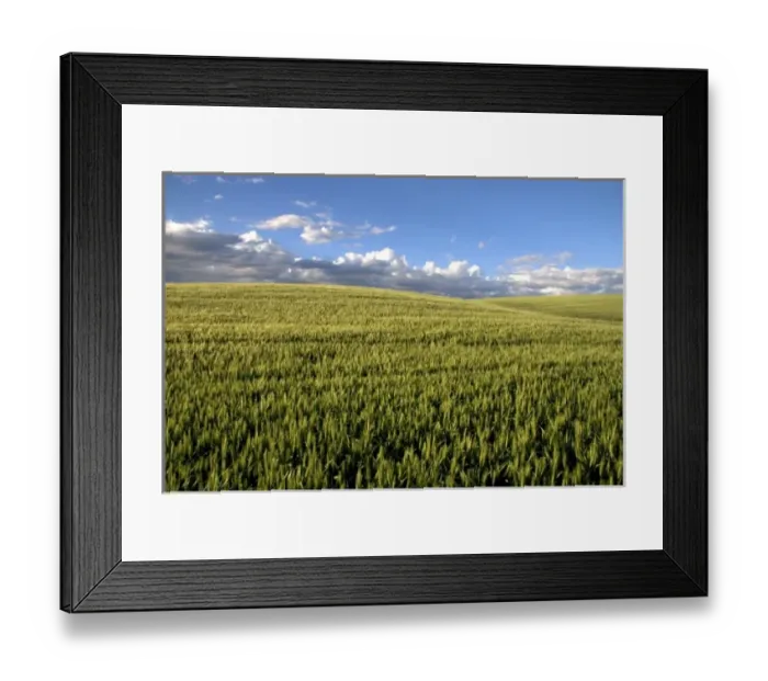 Framed Print : USA, North America, Idaho Framed Print : USA, North America, Idaho