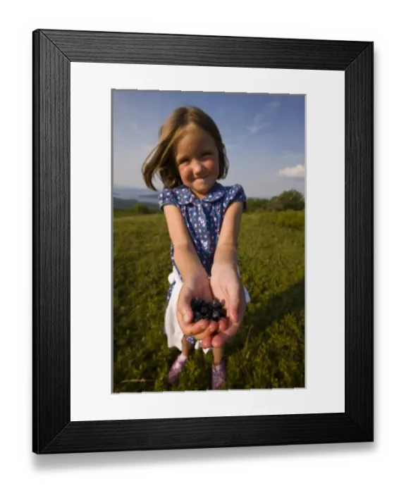 Framed Print : A young girl showing off the blueberries she picked on a hilltop in Alton, New Hampshire