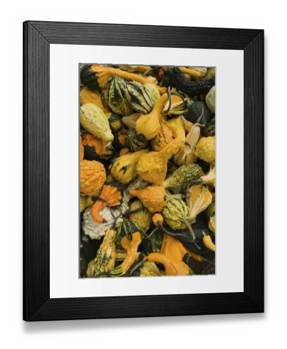 Framed Print : USA, North America, Massachusetts Framed Print : USA, North America, Massachusetts