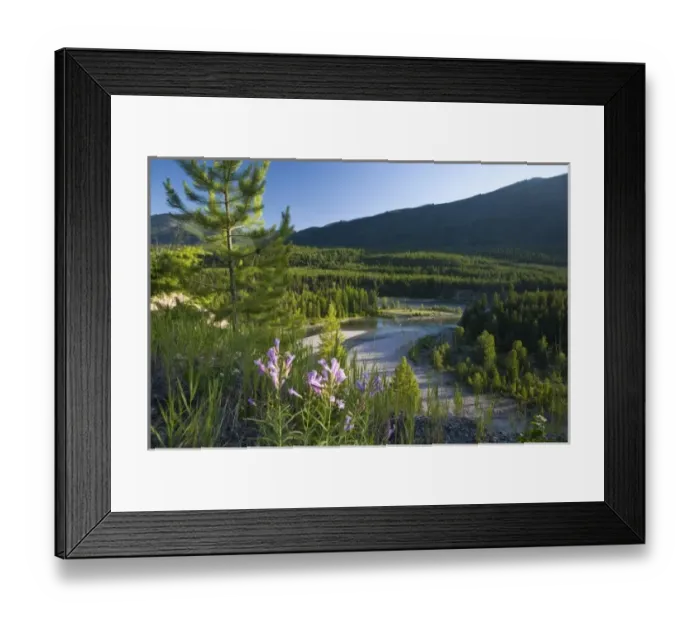 Framed Print : USA, North America, Montana Framed Print : USA, North America, Montana