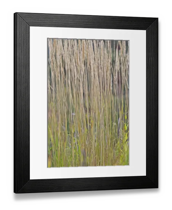 Framed Print : USA, North America, New Hampshire Framed Print : USA, North America, New Hampshire