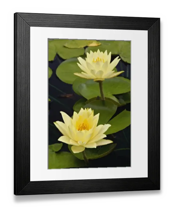 Framed Print : USA, North America, Indiana Framed Print : USA, North America, Indiana