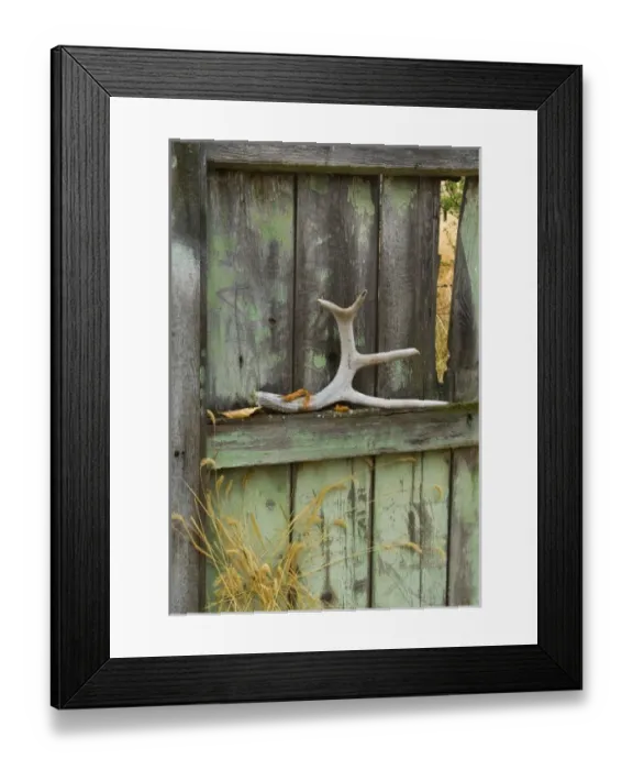 Framed Print : USA, North America, Montana