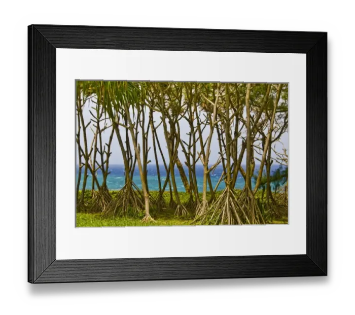 Framed Print : USA, North America, Hawaii Framed Print : USA, North America, Hawaii