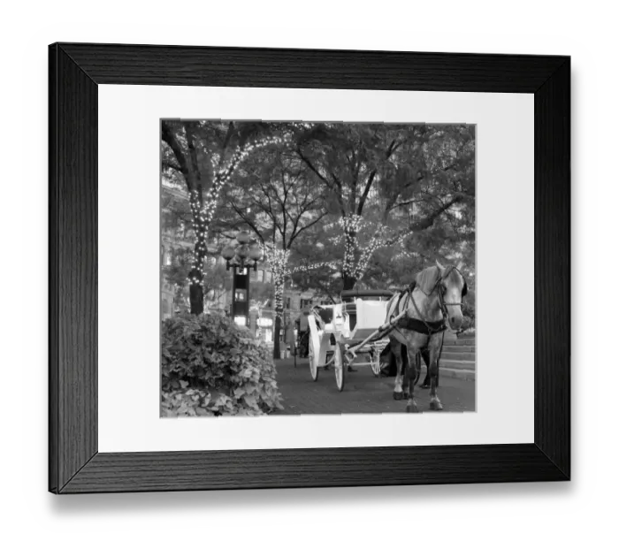 Framed Print : USA, Indiana, Indianapolis. Horse and carriage under lit trees on the circle