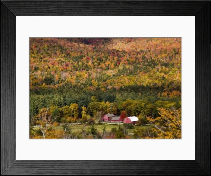 Framed Print : USA, Maine, Sunday River. Red farm buildings in the autumn-colored landscape