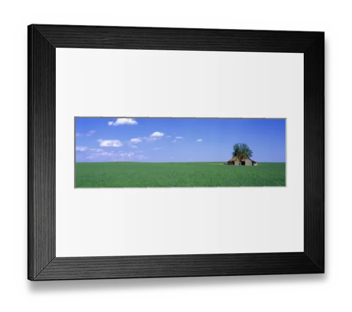 Framed Print : USA, Kentucky, Guthrie. A field of bluegrass is married to the sky in Guthrie, Kentucky Framed Print : USA, Kentucky, Guthrie. A field of bluegrass is married to the sky in Guthrie, Kentucky
