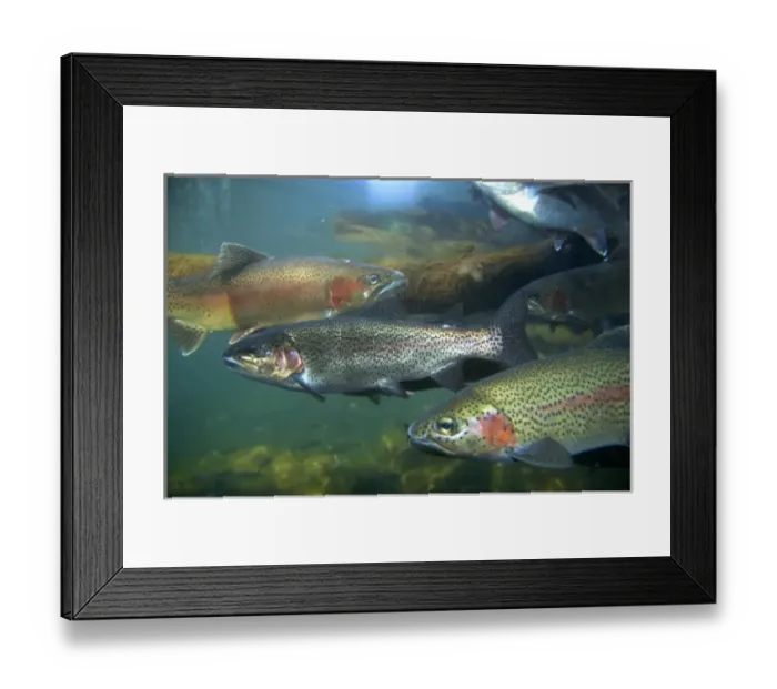 Framed Print : USA, North America, Idaho Framed Print : USA, North America, Idaho