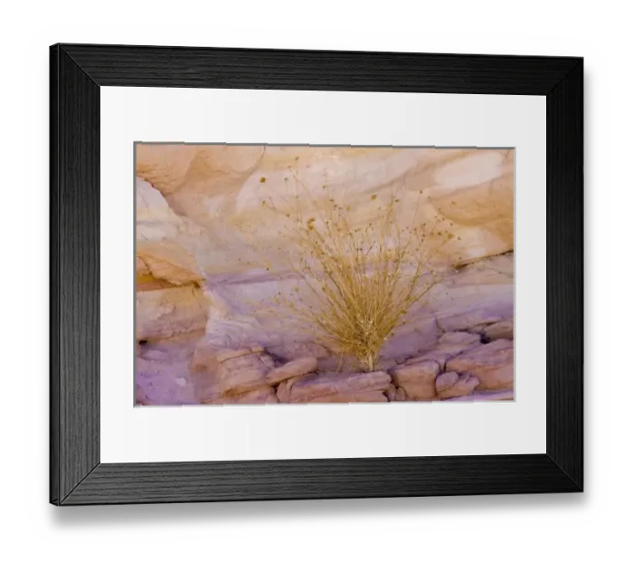 Framed Print : USA, North America, Nevada Framed Print : USA, North America, Nevada