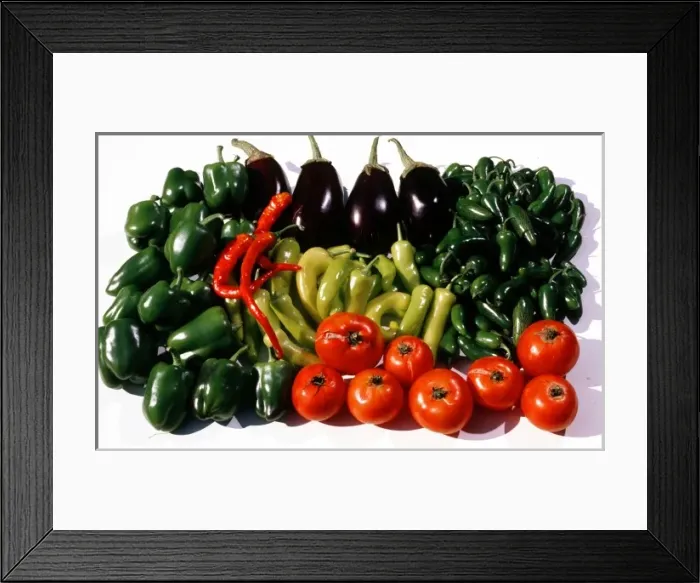 Framed Print : USA, Minnesota, Fall Harvest of Tomatoes, Peppers and Egg Plant Framed Print : USA, Minnesota, Fall Harvest of Tomatoes, Peppers and Egg Plant