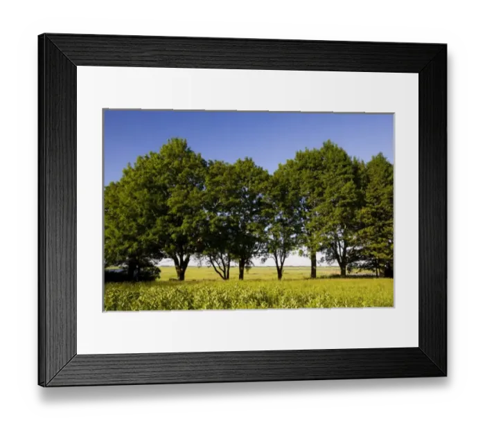 Framed Print : USA, North America, Massachusetts Framed Print : USA, North America, Massachusetts