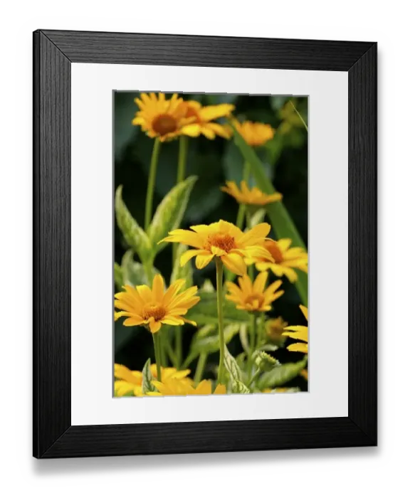 Framed Print : USA, North America, Massachusetts