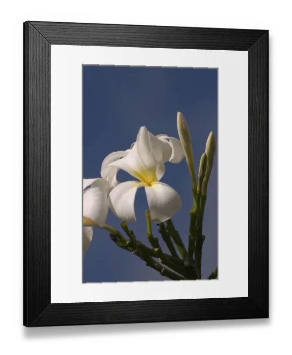 Framed Print : USA, North America, Hawaii Framed Print : USA, North America, Hawaii