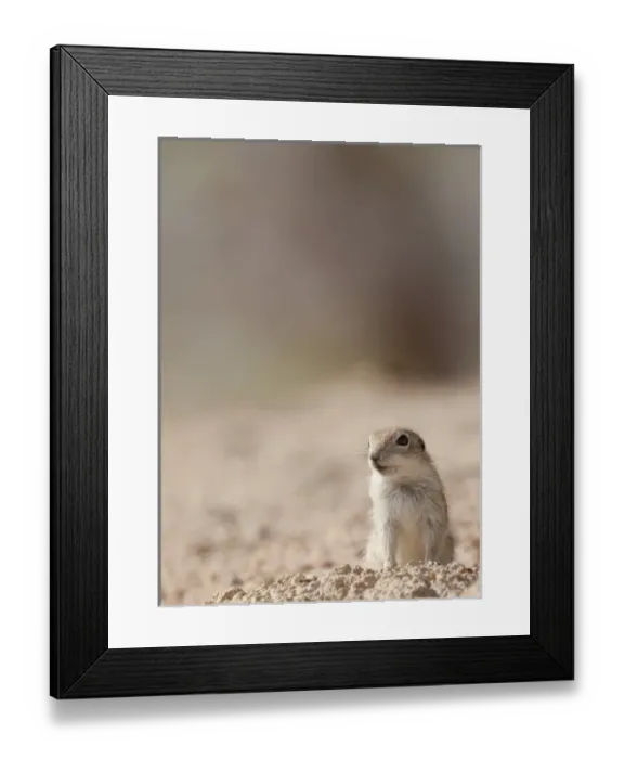 Framed Print : USA, North America, Nevada Framed Print : USA, North America, Nevada