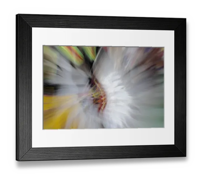 Framed Print : USA, North America, Montana Framed Print : USA, North America, Montana