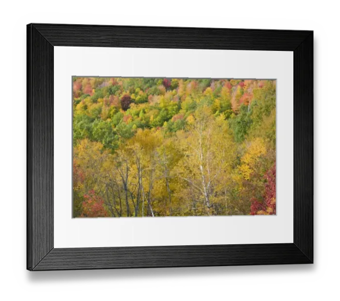 Framed Print : USA, North America, Massachusetts Framed Print : USA, North America, Massachusetts